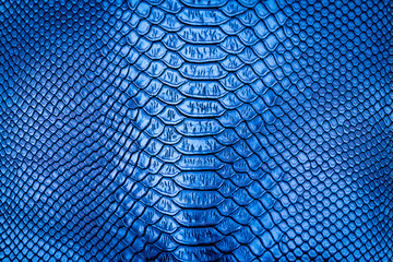 Blue snake skin pattern texture