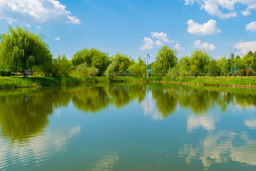 Fototapeta na wymiar water lake reflection of green willow trees