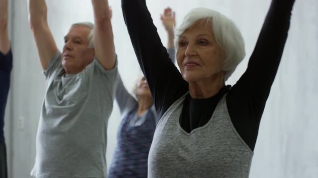 PAN of cheerful senior people in sportswear raising and lowering arms while warming up before workout in group class