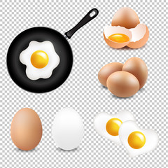 Big Eggs Collection Transparent Background
