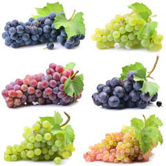 Grapes on a white background