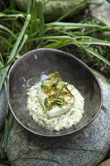 Risotto with herbs and white fish