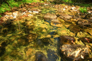 Autumn leaves on rocks, river Kamacnik, Gorski kotar, Croatia
