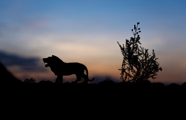silhouette of animal at sunset background.