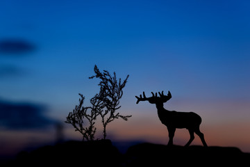 silhouette of rain deer model at sunset background.