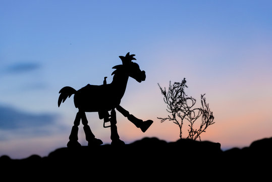 silhouette of horse model at sunset background.