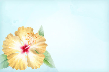 Watercolor illustration of hibiscus flower