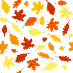 Autumn leaves seamless pattern