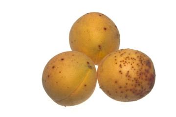 apricots isolated on white background