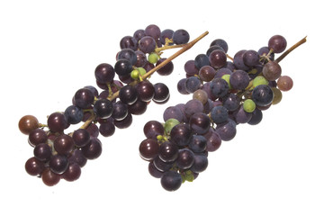 grapes isolated on white background