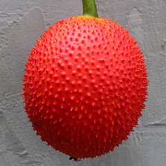 Baby Jackfruit and juice