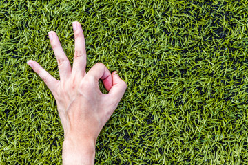 Close-up of Girl hand okey on green grass