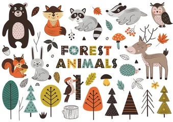 Afwasbaar Fotobehang Bosdieren bos dieren en planten in Scandinavische stijl - vectorillustratie, eps