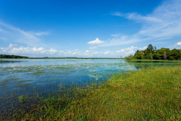 Forest, Rainforest, River, Season, Sky
