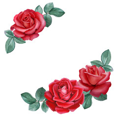 Watercolor illustration of a rose flower. Perfect for greeting cards or invitations