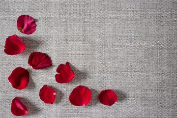 romantic brown background with red roses petals