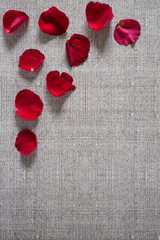 background with roses petals