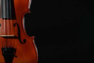 Violin on black background