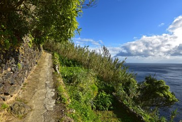 Azoren - Sao Miguel - Rocha da Relva Wanderweg