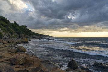 A high rocky seashore at sunrise. Plants on the rocks. Waves and glare on the water.
