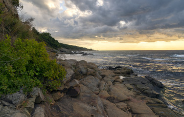 Fototapeta na wymiar A high rocky seashore at sunrise. Plants on the rocks. Waves and glare on the water.