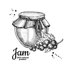 Red currant  jam glass jar vector drawing.  Fruit Jelly and marm