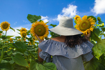 Young woman walking in the field with sunflowers. woman with long hair, back view. The concept of freedom.Sunflower background.