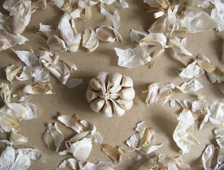 Fresh Garlic Bulb and Bumpy on the MDF wooden plate board Texture Background