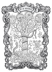 Naklejka premium Ace of pentacles. Minor Arcana tarot card. The Magic Gate deck. Fantasy engraved vector illustration with occult mysterious symbols and esoteric concept