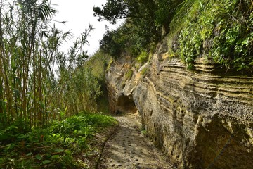 Azoren - Sao Miguel - Rocha da Relva Wanderweg