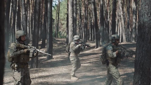 Squad Walking in Formation Through a Pines Forest