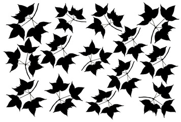 Obraz na płótnie Canvas Set black maple leaves isolated on white