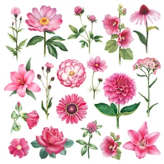 Fototapete Rund Watercolor illustrations of pink flowers © Aleksandra Smirnova