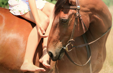 Dziewczynka i koń