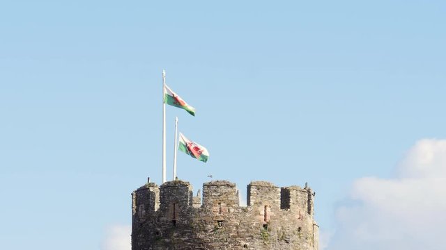 Welsh flags flying at Conwy Castle Conwy Gwynedd Wales