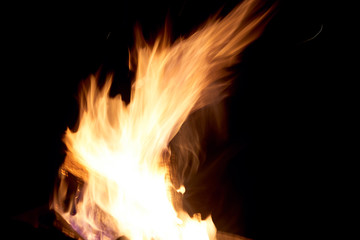 Fototapeta premium Fire flames on a black background. The fire burns on a black background.