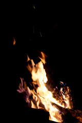 Fire flames on a black background. The fire burns on a black background.