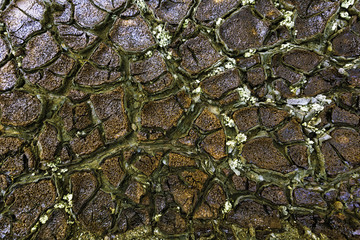 Texture of dry and cracked earth on the banks of the Rio tinto, a place studied by NASA for its resemblance to Mars
