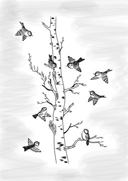 Sparrows and birch