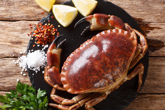 Fresh wild brown crab with ingredients close-up on the table. Horizontal top view from above