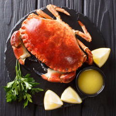 cooked whole brown edible crab served with sauce, lemon and parsley on a stone board close-up. top view