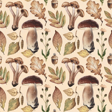 Watercolor illustrations of mushrooms, leaves and flowers. Seamless pattern