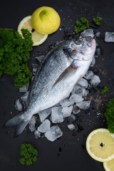 Frische Dorade (Fisch) auf Eis auf einem dunklen Untergrund