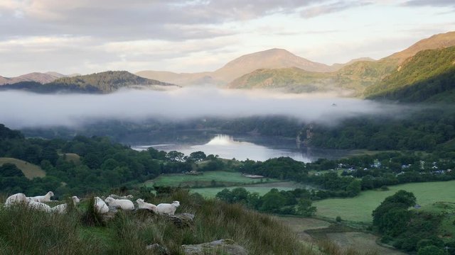 Early morning mist at Llyn Gwynant, Nant Gwynant valley, Snowdonia National Park. Wales, 