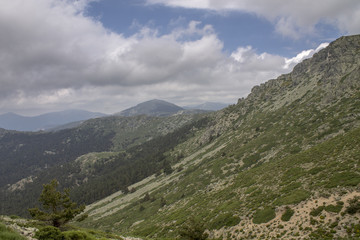 Fototapeta na wymiar montañas de la sierra de Madrid