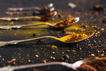 Assorted spices in spoons with empty space for text on dark black background. Seasonings for food. Curry, paprika, pepper, cardamom, cloves, turmeric. Close-up.