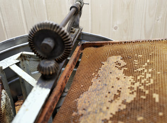 honey extractor with honeycomb