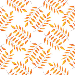 Autumn leaf pattern