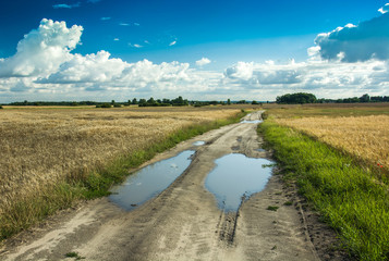 Puddles on a country road through fields and forest on the horizon