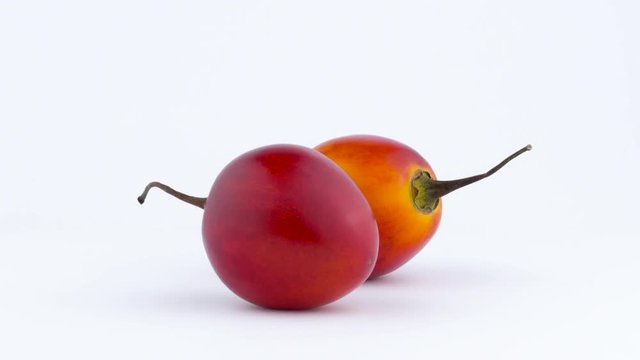 Two whole mature tamarillo fruits. Rotating on the turntable isolated on the white background. Close up. Macro.